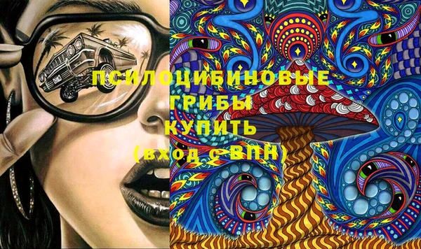 прущая мука Инсар