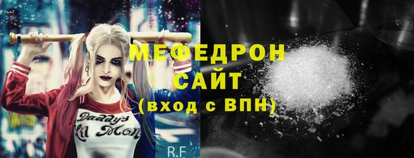индика Инта