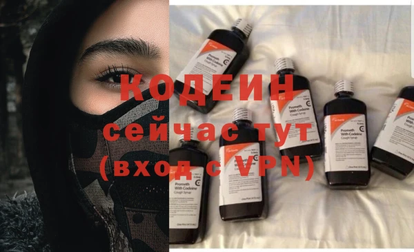 молекула духа Фёдоровский