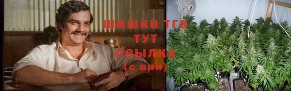 гашик Калининец