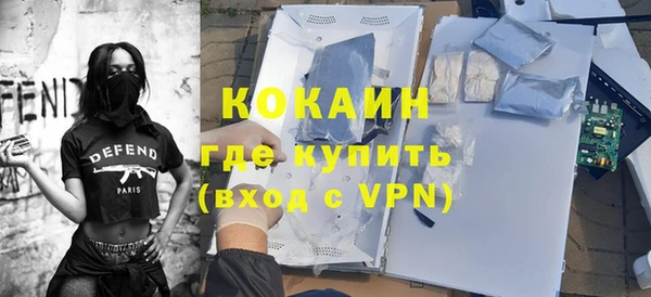 молекула духа Фёдоровский