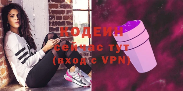 гашик Калининец